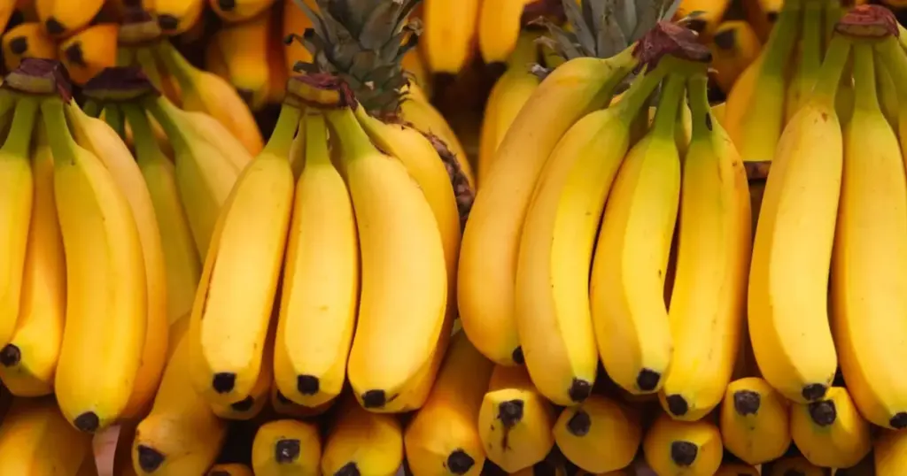Bananpriserne på De Kanariske Øer styrtdykker: Avlere lider store tab! - image 1