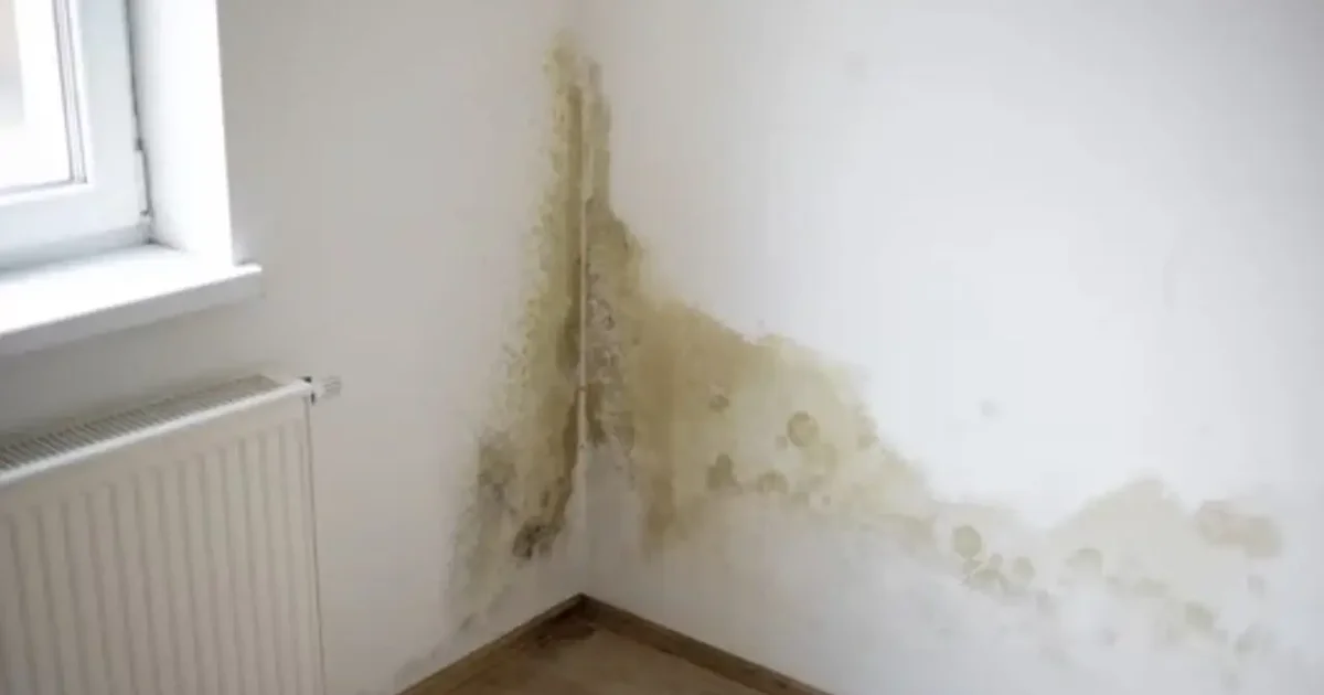 Arkitektens geniale trick: Afslør fugtproblemer i hjemmet med et simpelt stykke alufolie! - image 4