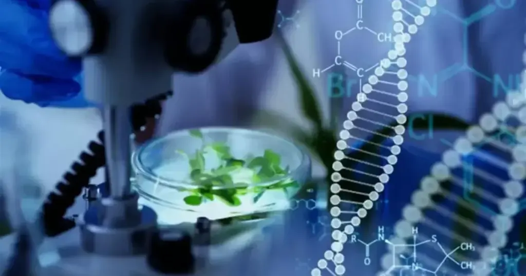 Revolutionerende gennembrud: Plantehormon giver livslang kontrol over proteinniveauer hos dyr - image 1