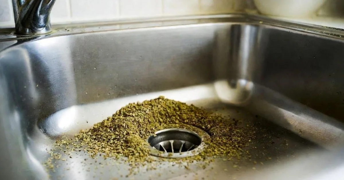 Oregano i afløbet? Opdag den smarte trick mod dårlig lugt og bakterier! - image 3