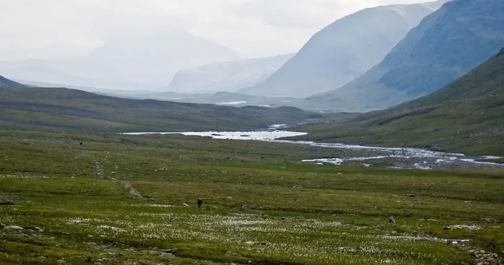 Romernes skovhugst: Sådan forvandlede imperiet Europas urskove nord for Alperne! - image 2