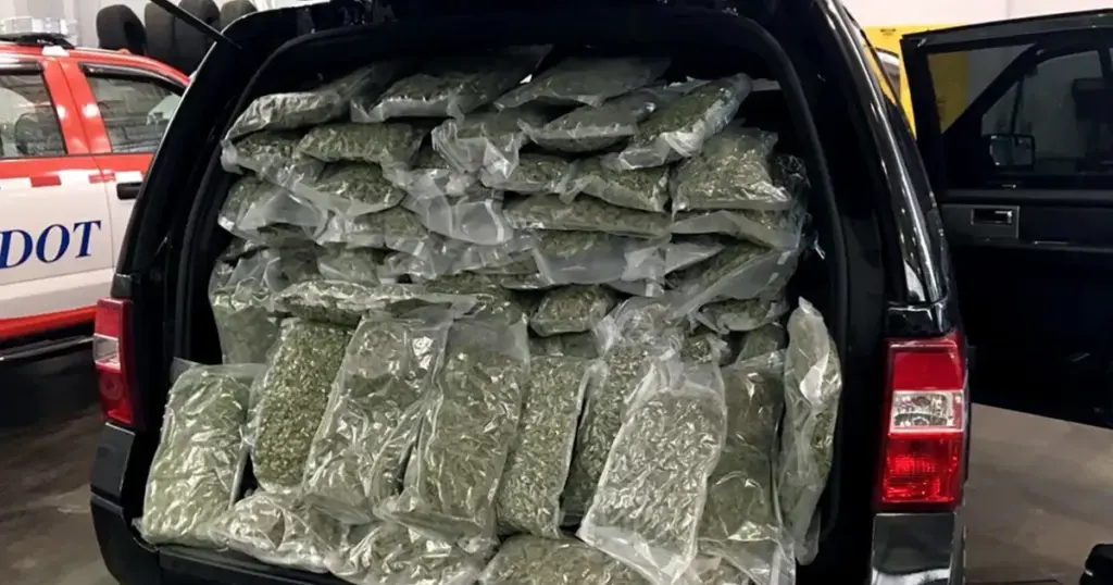 "Papirhåndklæder" skjulte 247 kilo narkotika: Toldere slog til på motorvej A75 - image 1