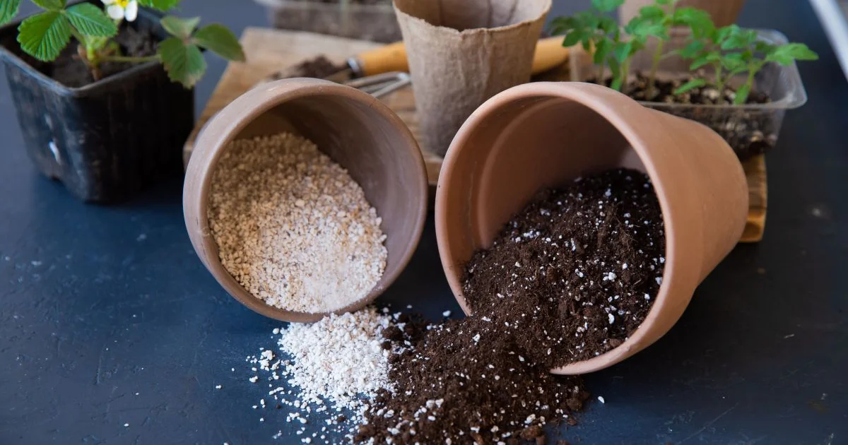 Krukkehave på Altanen: Sådan Skaber Du Din Grønne Oase og Får Sunde Planter! - image 2