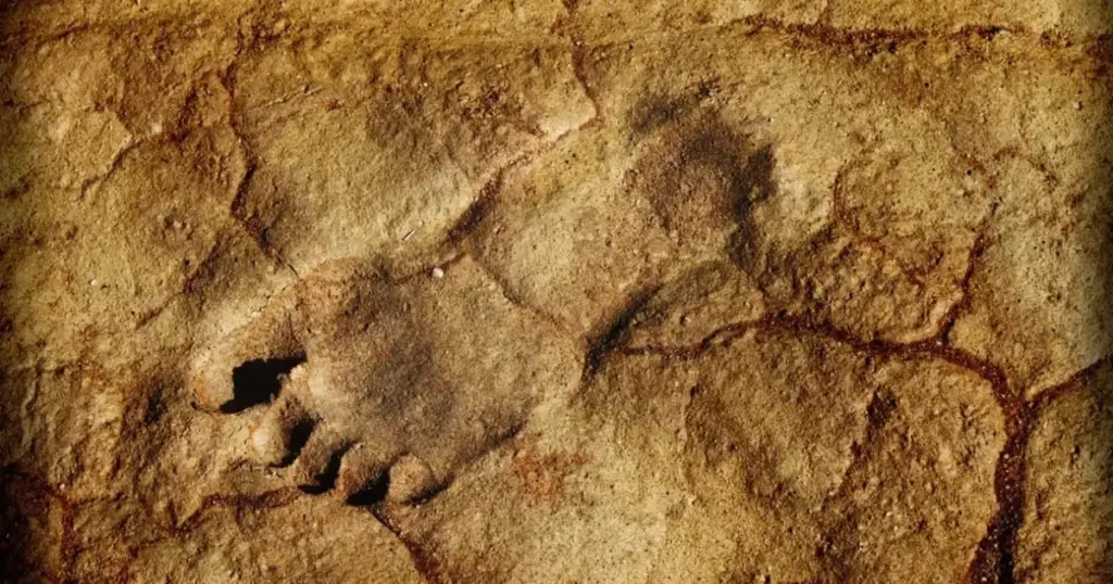 Sensationelt Fund: 115.000 År Gamle Fodspor Afslører Homo Sapiens' Tidligste Tilstedeværelse i Arabien - image 1