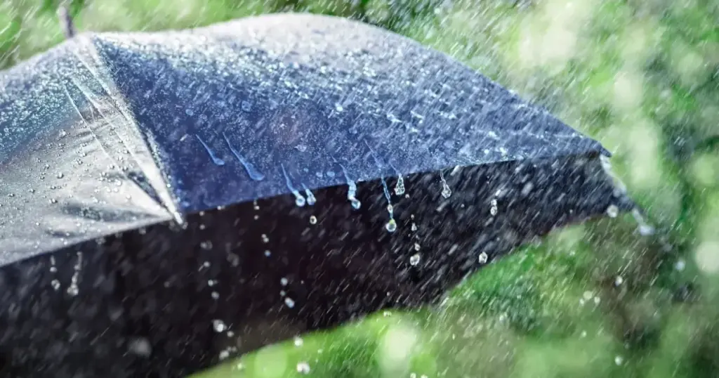Regn og blæst på vej: Ny vejrfront rammer Chile fra midten til syd denne søndag - image 1