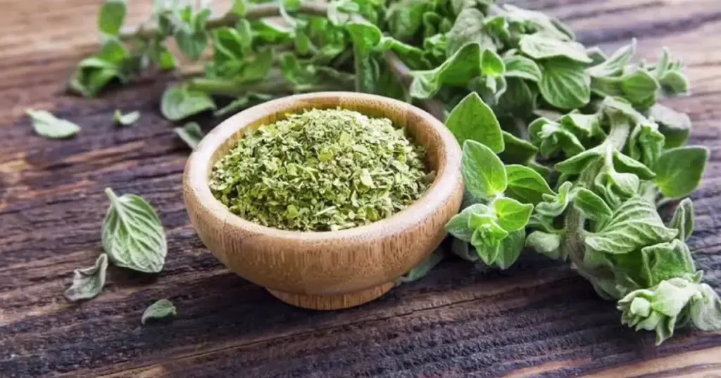 Den Uventede Løsning: Hvorfor Oregano i Afløbet Er Din Nye Hjemmehjælp! - image 1