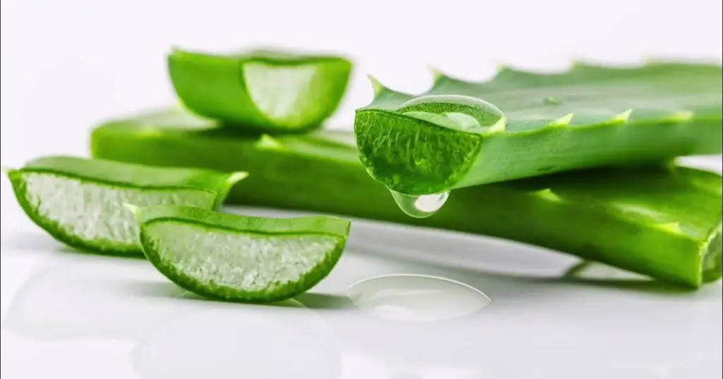 Løg og Aloe Vera: Den Naturlige Kur til Sundt og Glansfuldt Hår - image 3