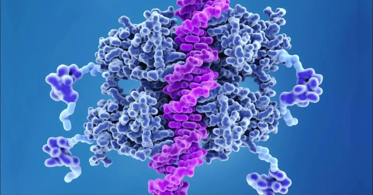 Revolutionerende gennembrud: Plantehormon giver livslang kontrol over proteinniveauer hos dyr - image 3