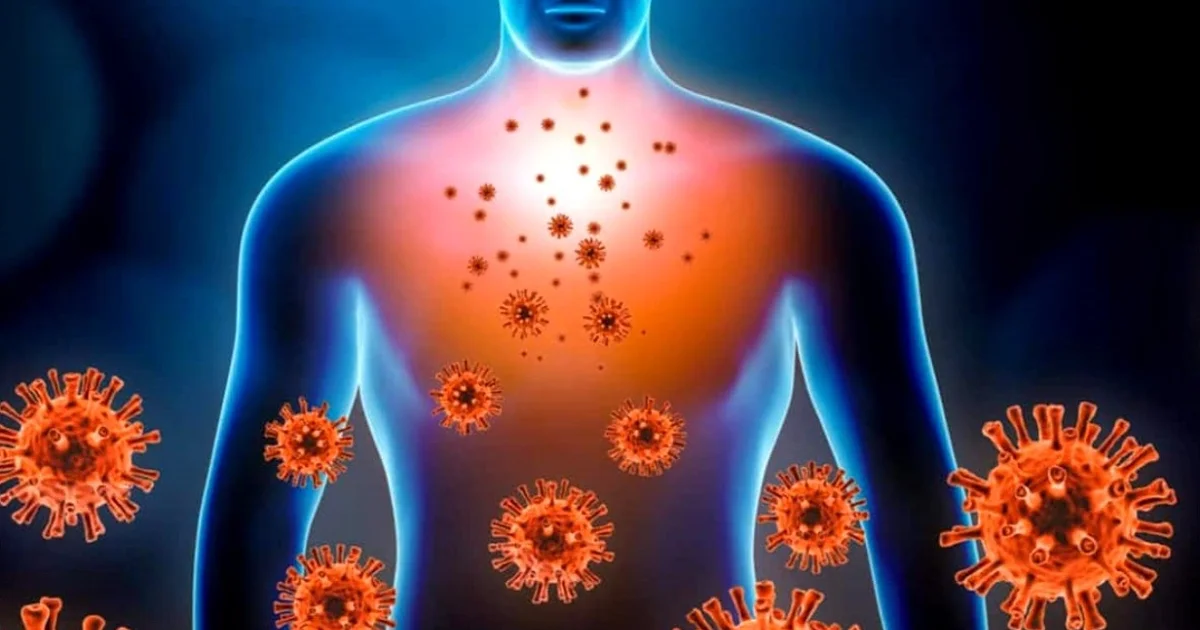 Gennembrud inden for depressionsforskning: Er immunsystemet den oversete nøgle? - image 4