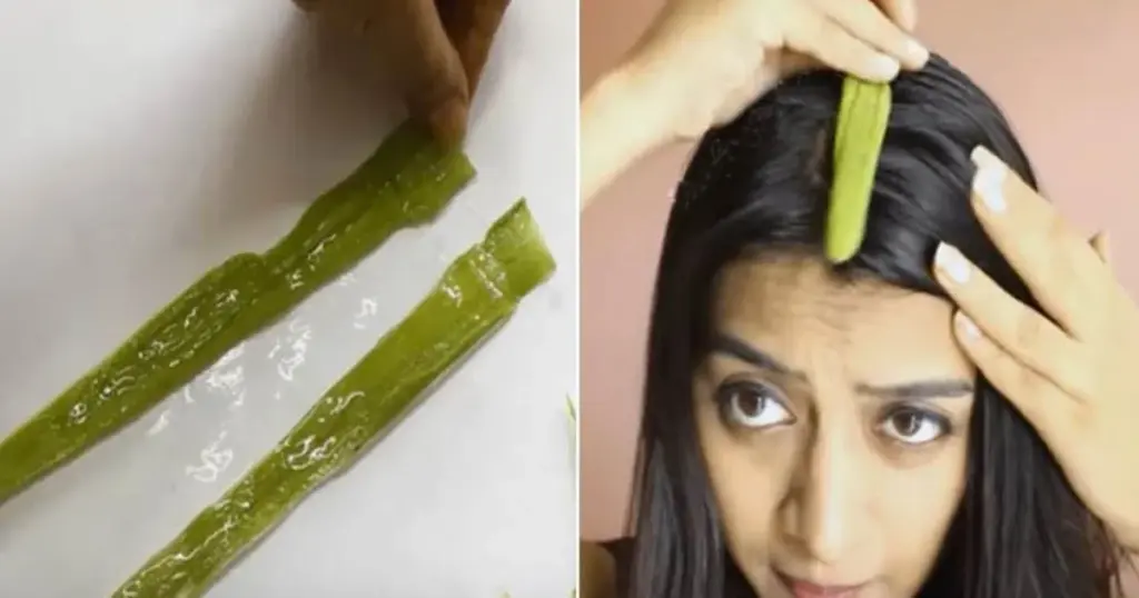 Forvandl Dit Hår: Opdag Miraklerne ved Løg og Aloe Vera! - image 3