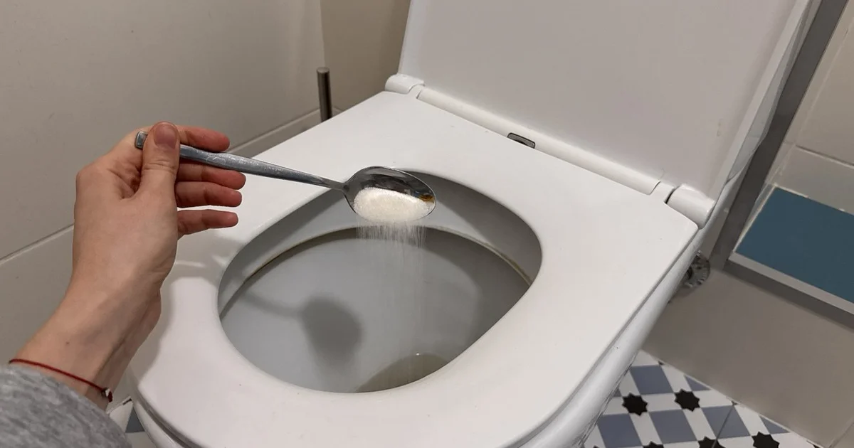 Sig farvel til kloaklugten: Få et friskt og indbydende badeværelse! - image 2