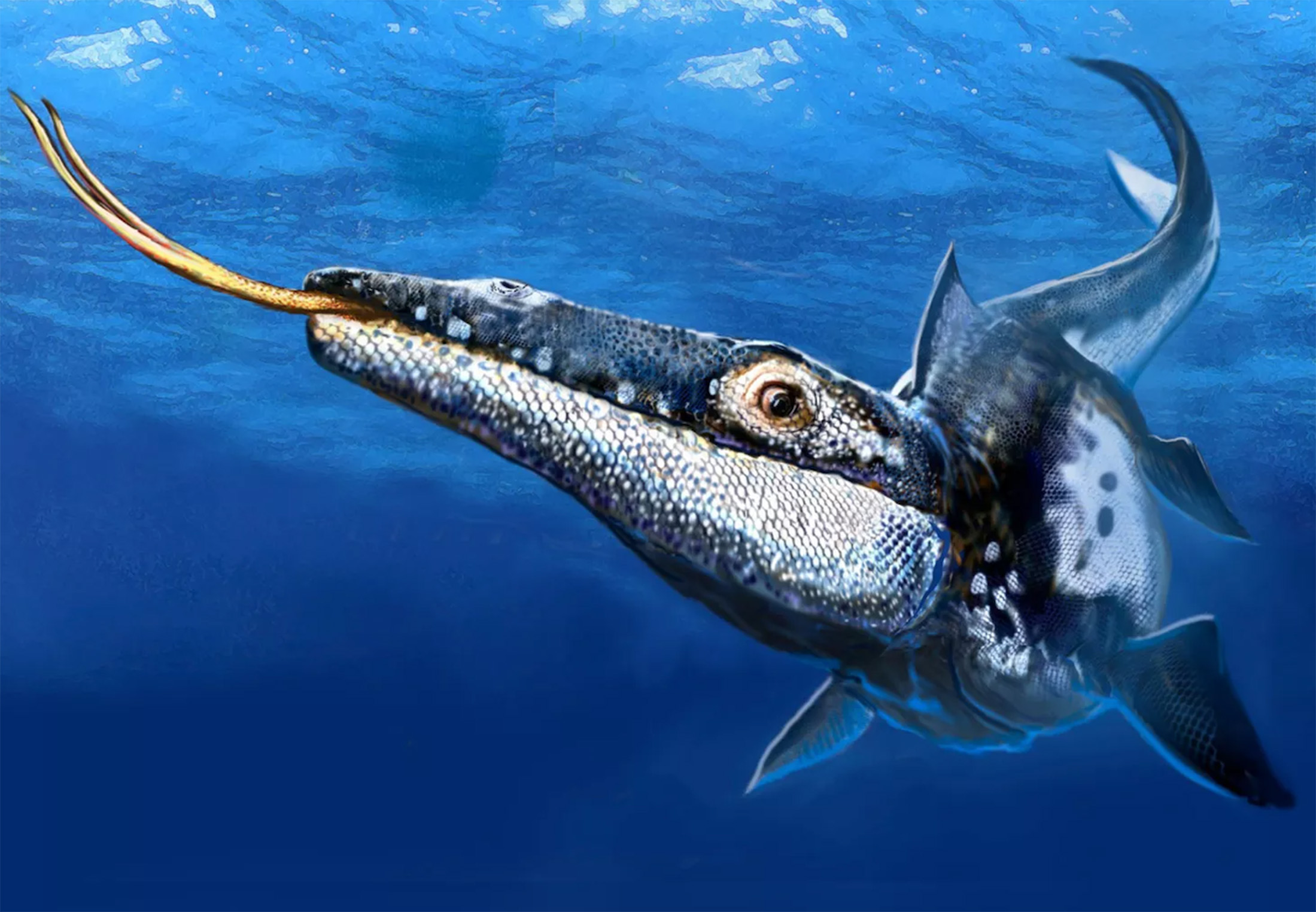 25 meter langt havmonster fundet – levede før dinosaurernes storhedstid