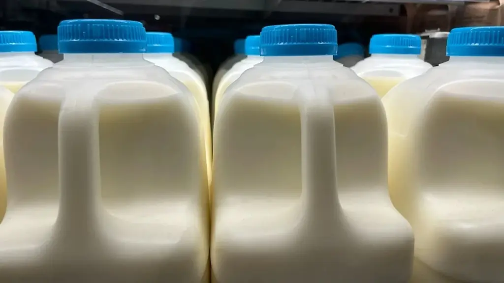 Pant på mælkeflasker: Derfor bliver 2 ud af 10 flasker afvist i automaten